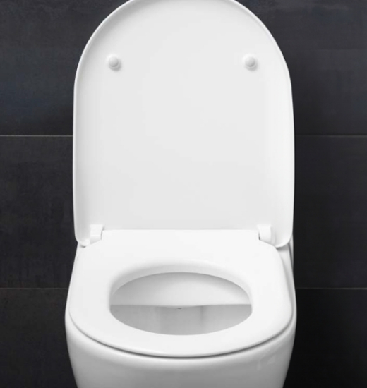 Toilet Seat Covers