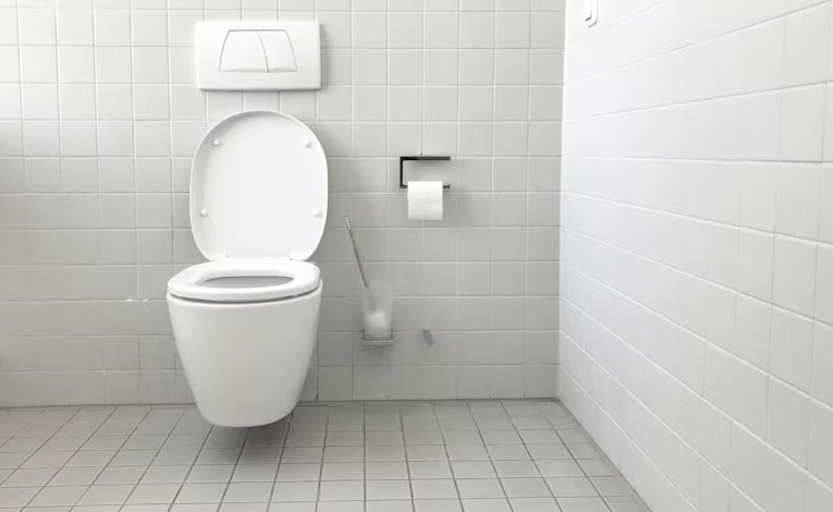  Wall Mounted Toilet Modern Bathrooms